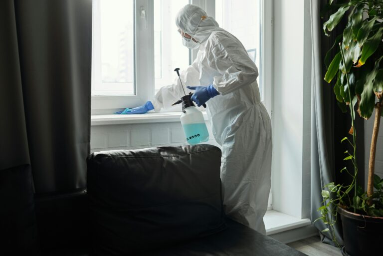 Residential cleaning service maintaining a fresh and organised home